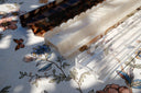 20" Oyster Pearl Scalloped Acrylic Rack